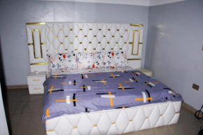 Whitney white 1bedroom shortlet apartment 24hr light Stadium Road N60,000